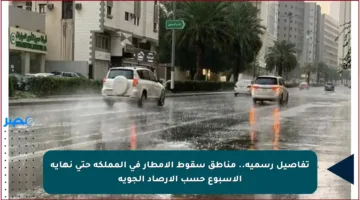 تفاصيل رسمية.. مناطق سقوط الأمطار في المملكة حتى نهاية الأسبوع حسب الأرصاد الجوية